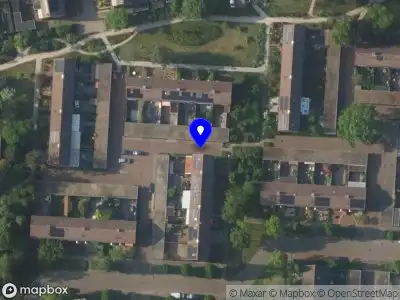 Bekendmaking Buiten behandeling gestelde vergunning voor het kappen van een berk aan Witwatersrand 77 te Ermelo