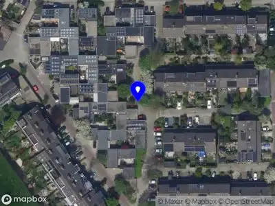 Meldingen Porceleinvlinder  Leiden