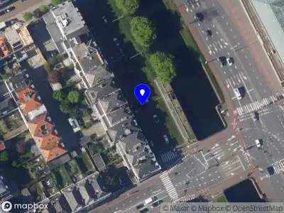 Vrijgave van het voornemen voor een ontheffing voor het kappen van 3 dode monumentale bomen in Centrum Den Haag