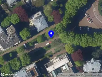 Bekendmaking Vrijgave van het voornemen voor een ontheffing voor het kappen van 3 dode monumentale bomen in Centrum Den Haag