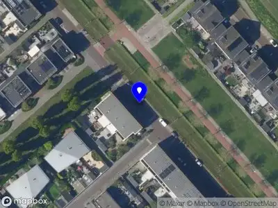 Overig Pijlkruidveld  's-Gravenhage