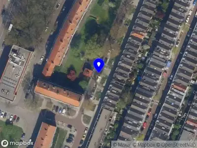 Kapvergunning Paulus Potterstraat  Rotterdam