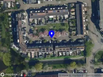 Overig Zilvermeeuw  Noordwijk