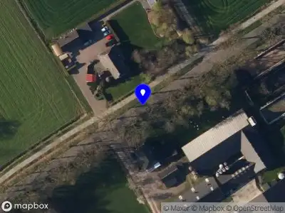 Informatie kap gemeentelijke bomen 11 december 2024