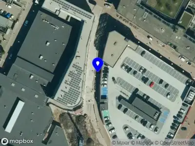 Kerstbomen Stichting Winkelstad Veenendaal 2024