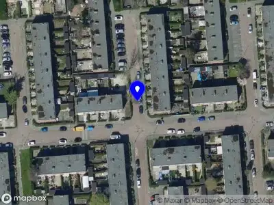Kapvergunning Dantestraat  Rotterdam