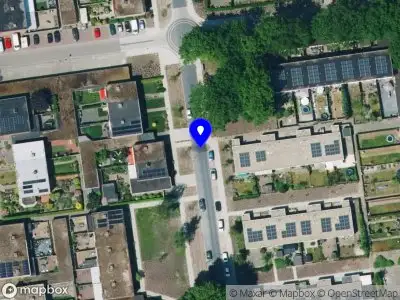 Toestemming voor het kappen van een boom nabij Veldlaan 58 te Emmen