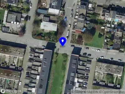 Kapvergunning Omgevingsvergunning Yersekestraat  Rotterdam