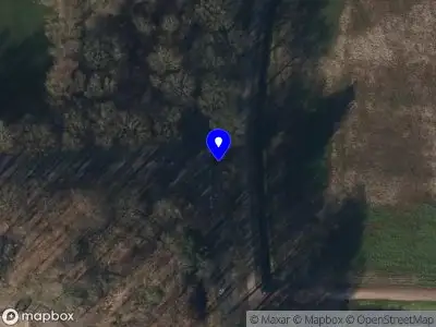 Bekendmaking Aanvraag omgevingsvergunning Omgevingswet: Sellingerstraat nabij nr. 76, Ter Apel, kap 1 beuk, datum: 16 augustus 2024