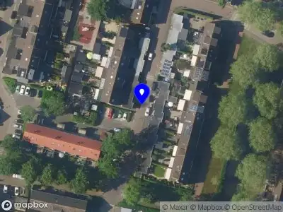 Meldingen Zanglijster  Bunschoten-Spakenburg