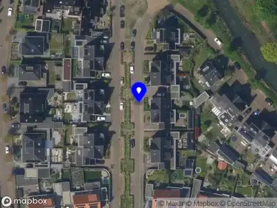 Overig Kleine Vos  Nijkerk
