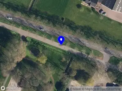 Verleende omgevingsvergunning omgevingsplanactiviteit: Oosteinde 9, Blijham, kap 1 berk, met herplant, verzenddatum: 20 januari 2025