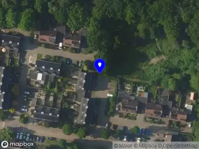 Bekendmaking Rectificatie: Toestemming voor het kappen van 2 bomen met herplantplicht nabij Kleine Bosweg 14 te Ermelo