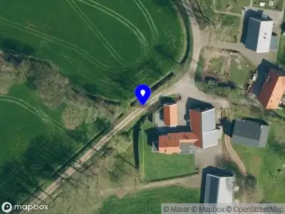 Overig Koerboom  Groenlo