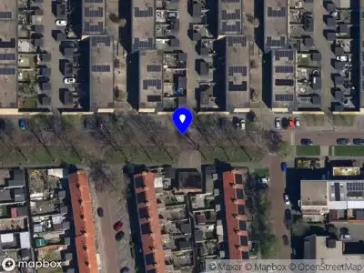 Kap bomen verschillende locaties Midden-Groningen, aanvraag vergunning