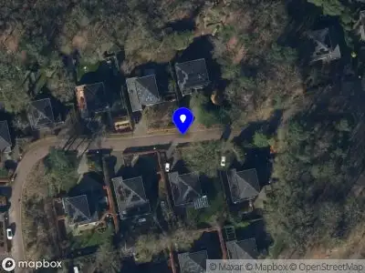 Aanvraag omgevingsvergunning reguliere procedure - Aanvraag vergunning voor het kappen van een boom (grove den) aan De Pieterberg 5 in Westerbork