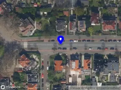 Kapvergunning Schiedamseweg  Vlaardingen