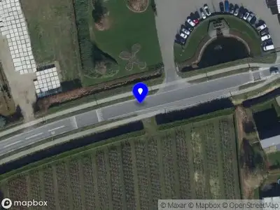 Aanvraag omgevingsvergunning voor de kap van bomen aan de Dijkwelseweg en Weg naar het Stomme Kruis te Kapelle