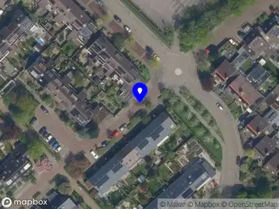 Kapvergunning Kastanjeboom  Culemborg