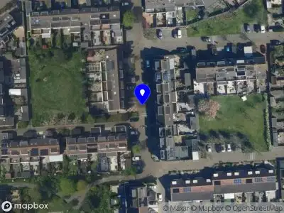 Overig Parelduiker  Noordwijk