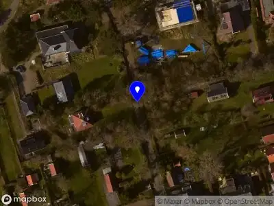 Toestemming voor het kappen van twee canadese populieren aan de van Westerholtlaan 4 (zaaknr. 447665)