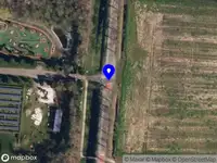 Vergunningvrij project: Borgesiusweg 3, Wedde, kap 2 populieren, verzenddatum: 5 maart 2025