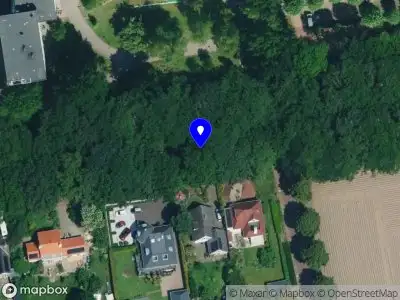 Kapvergunning Voorsterallee  Zutphen