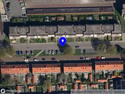 Kap 14 bomen verschillende locaties Midden-Groningen, aanvraag vergunning