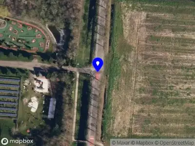 Verlengen beslistermijn: Borgesiusweg 3, Wedde, kap 2 populieren en 1 den, indiendatum 14 januari 2025, uiterlijk op 22 april 2025 wordt een beslissing op deze aanvraag genomen