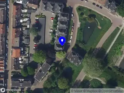 Ambulance met grote spoed naar de Paddemoes in Gorinchem