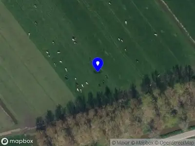 Brandweer met grote spoed naar de Zeedijk in Culemborg vanwege voertuigen te water