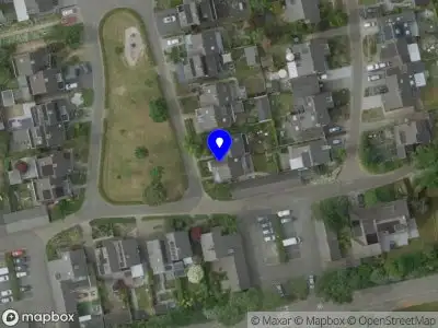 Overlastmelding Peereboom in Melick