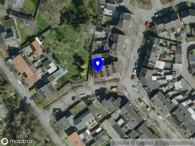 112 melding Overlastmelding Esdoorn in Oost West en Middelbeers