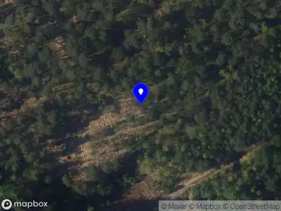 Traumahelikopter met grote spoed naar de Treekerweg in Leusden