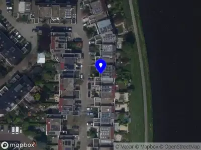 Overlastmelding Stokroos in Leiden