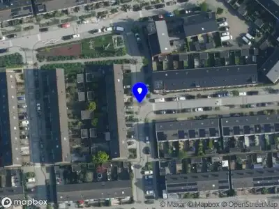 Overlastmelding Bonte Kraai in Diemen