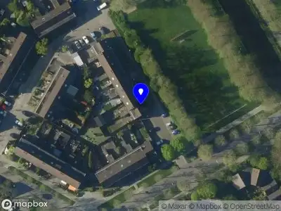 Overlastmelding Kluut in Hoorn