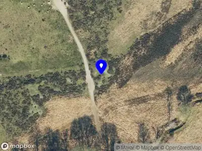 Politie naar de Oud Avereest in Balkbrug vanwege aanrijding met letsel