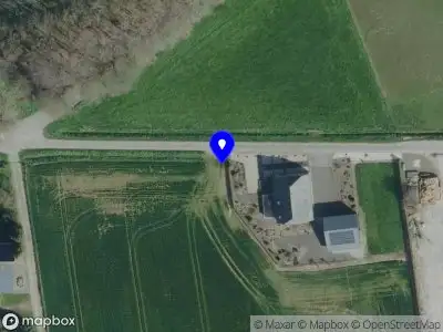 Politie naar de Vogelzang in Overasselt vanwege aanrijding met letsel