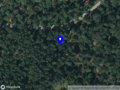 Brandweer met grote spoed naar de Nieuw Milligenseweg in Kootwijk vanwege reanimatie