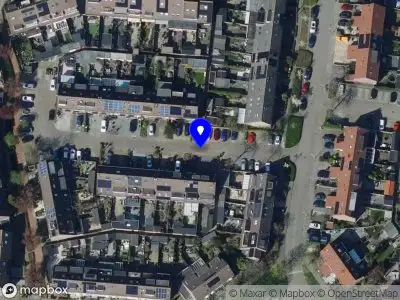 Overlastmelding Meerkoet in Oud-Beijerland gesloten