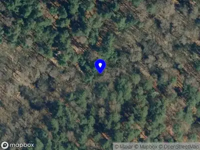 Brandweer met gepaste spoed naar de Arnhemsestraatweg in Rheden