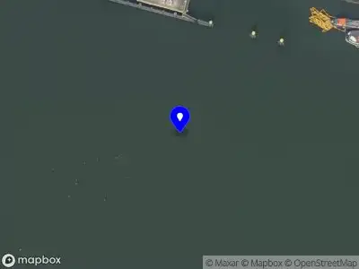 Brandweer met grote spoed naar de Butaanweg in Hoogvliet Rotterdam