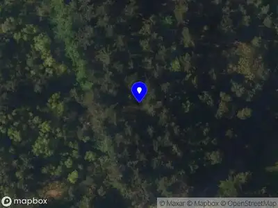 Brandweer met gepaste spoed naar de Prof. Bronkhorstlaan in Bilthoven vanwege stormschade