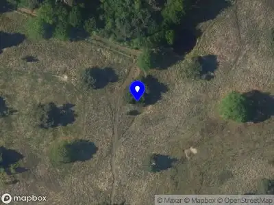 Politie naar de Bosrand in Putten vanwege aanrijding met letsel