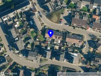 Overlastmelding Sleutelbloem in Brummen