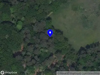 Overlastmelding Dennenweg in Rucphen