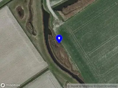 Politie naar de Vrijheidsweg in Ouddorp vanwege dier(en) in nood