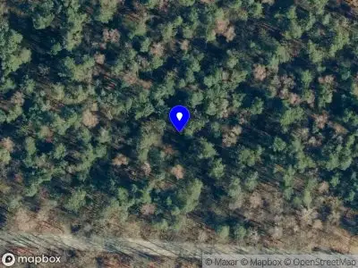 Brandweer met gepaste spoed naar de Woeste Hoefweg in Hoenderloo vanwege stormschade