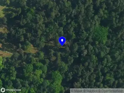 112 melding Brandweer met gepaste spoed naar de Luttenbergerweg in Haarle vanwege stormschade